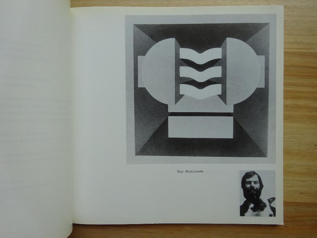 Facetten van de jonge Vlaamse kunst, 1971, Ophalen of Verzenden, Gelezen, Schilder- en Tekenkunst