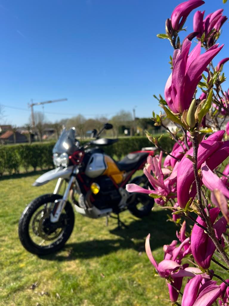 Moto Guzzi V85TT Evocative, Motoren, Bedrijf, Handvatverwarming