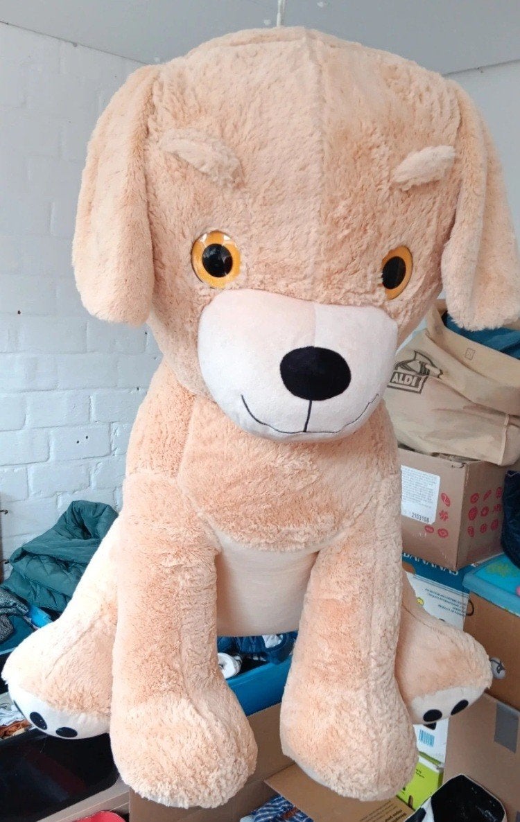 grote labrador knuffel, Enlèvement