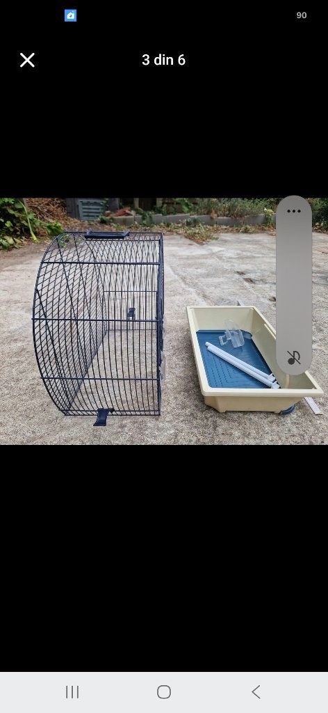 Cage à oiseaux avec deux perruches, Animaux & Accessoires