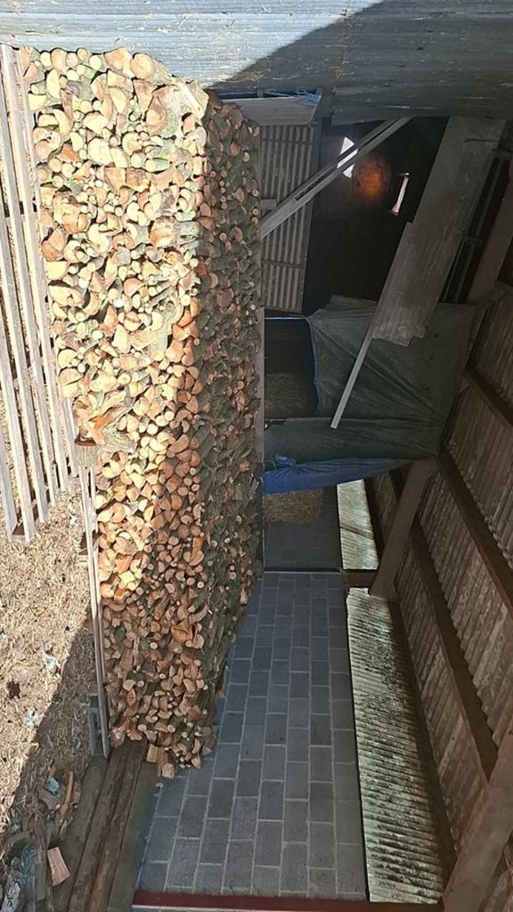Bois à vendre , saule , très bon bois à brulé