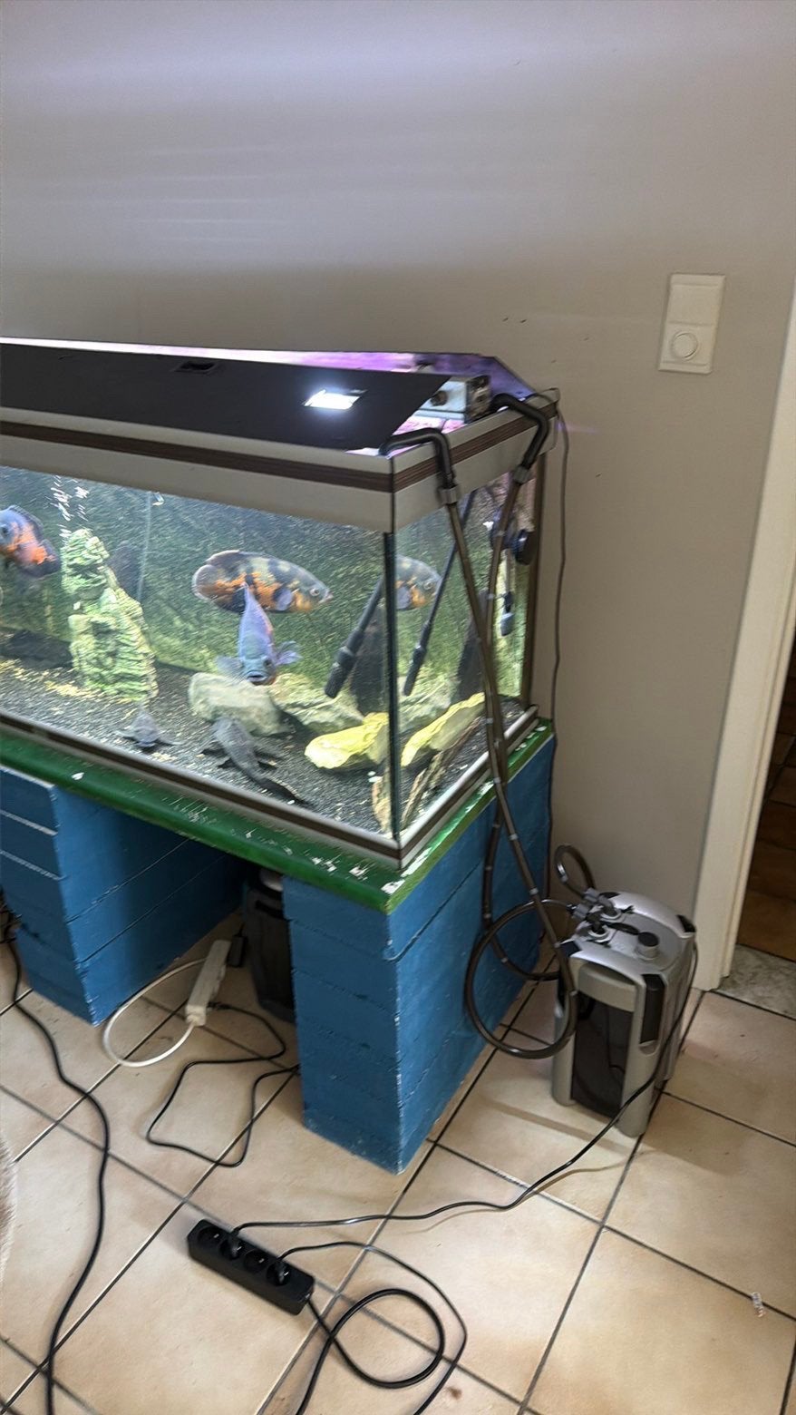 Aquarium en toebehoren, Ophalen, Zo goed als nieuw, Decoratie
