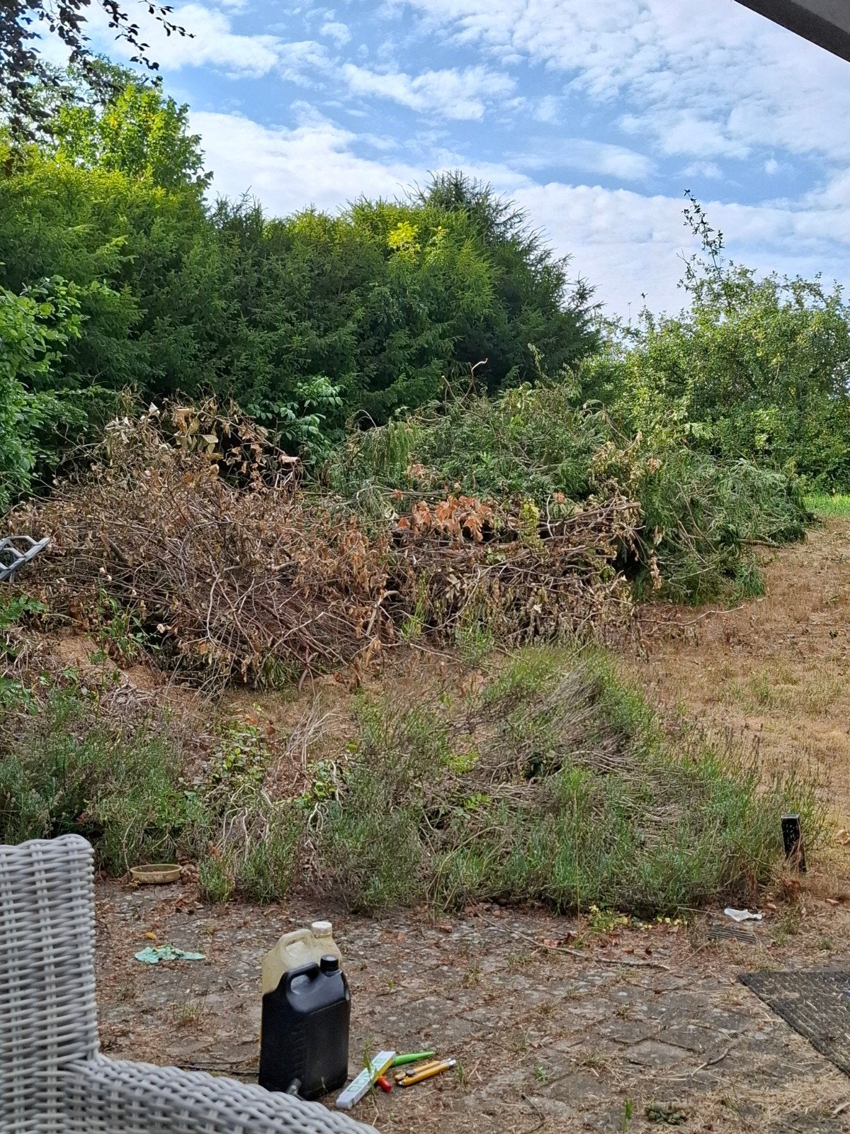branche à donner, Tuin en Terras, Brandhout, Ophalen, Overige houtsoorten, Takken