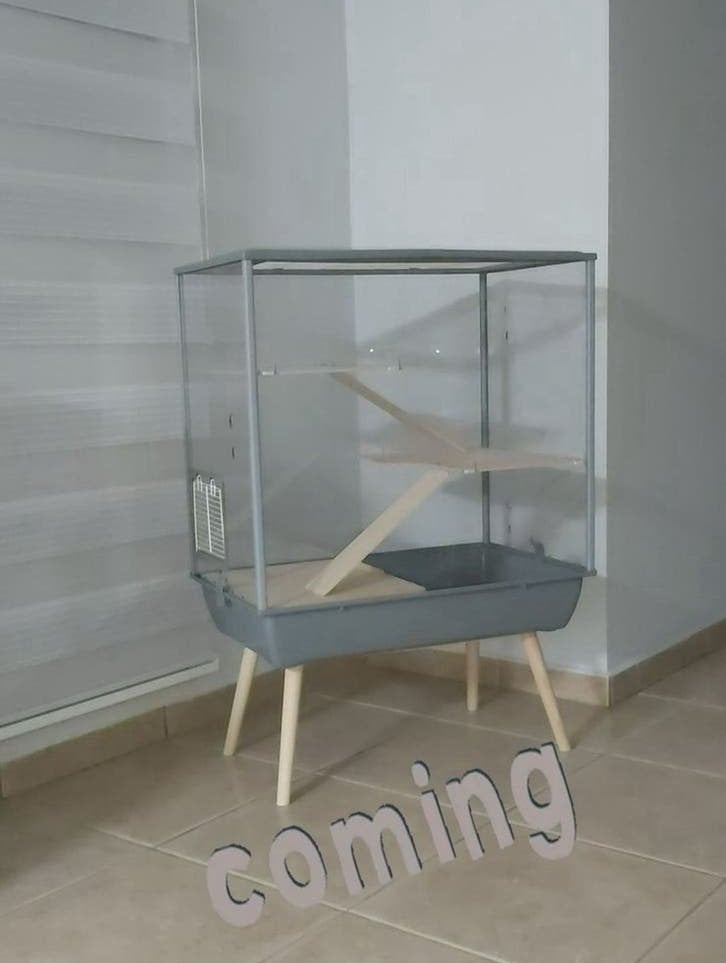 Nouvelle cage à hamsters, Enlèvement ou Envoi, Comme neuf, Hamster