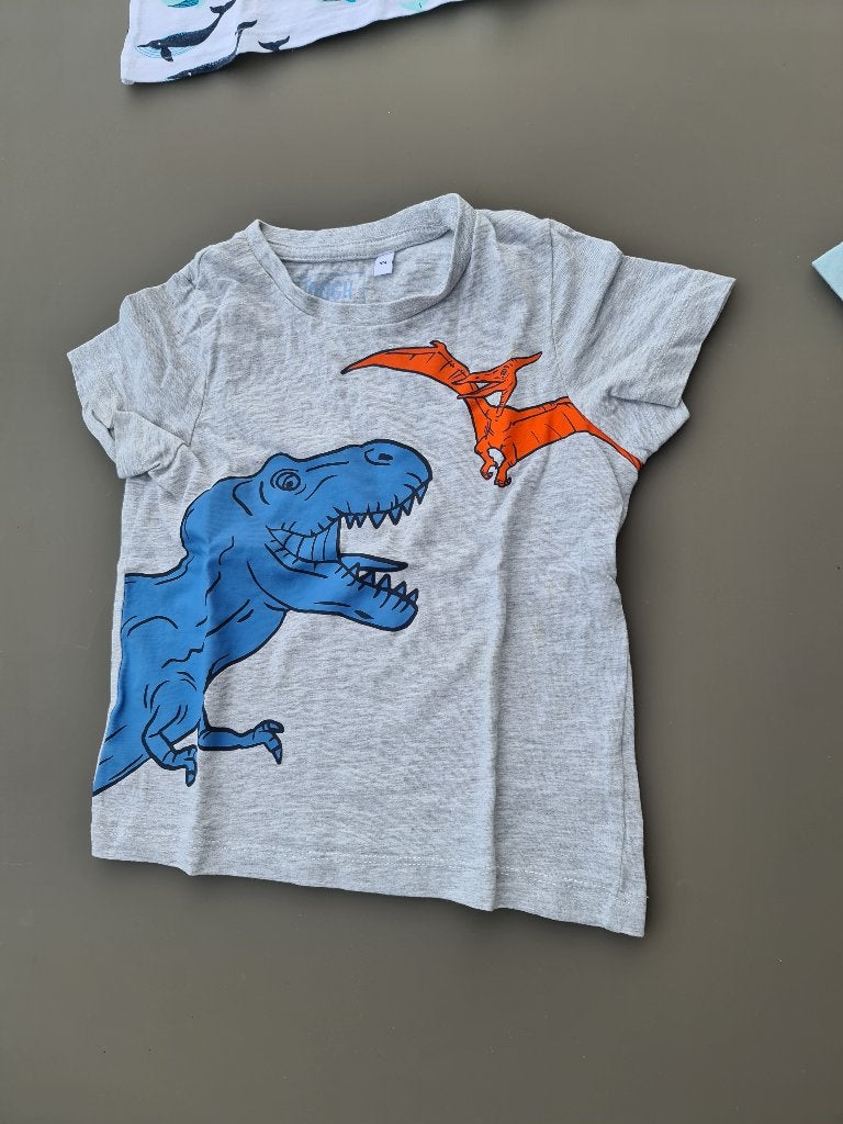 grijs t-shirt met dino, CA, 104, Enfants & Bébés, Vêtements enfant | Taille 104, Enlèvement, Comme neuf