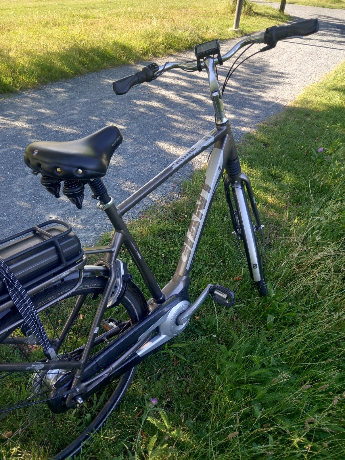 Elektrische fiets Gaint Prime in perfecte  staat., Fietsen en Brommers, Ophalen