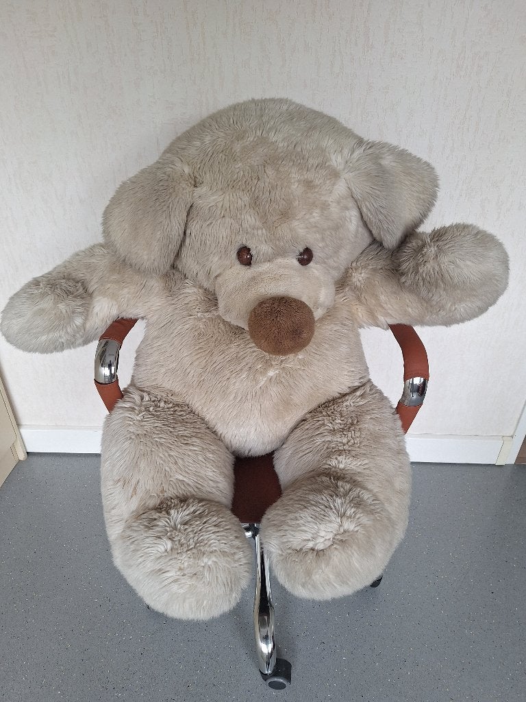 Knuffelbeer, Ophalen, Gebruikt, Beer, Beige