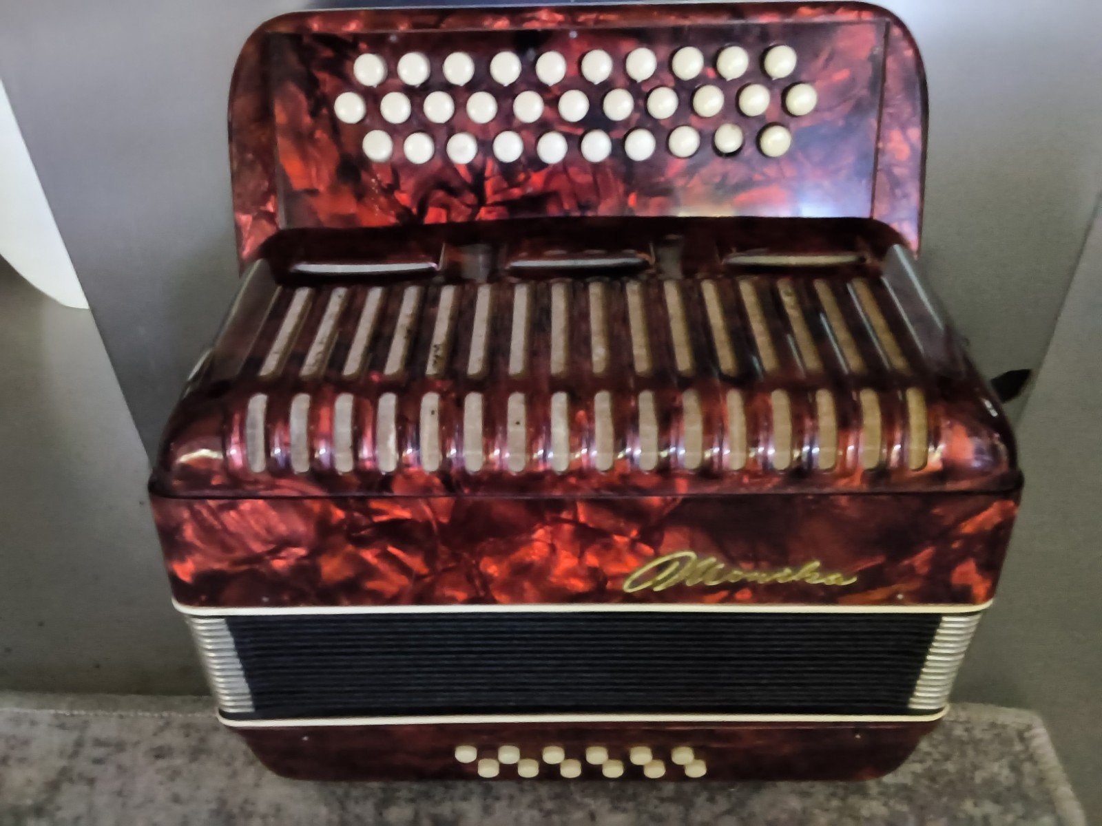 accordeon, Musique & Instruments, Enlèvement