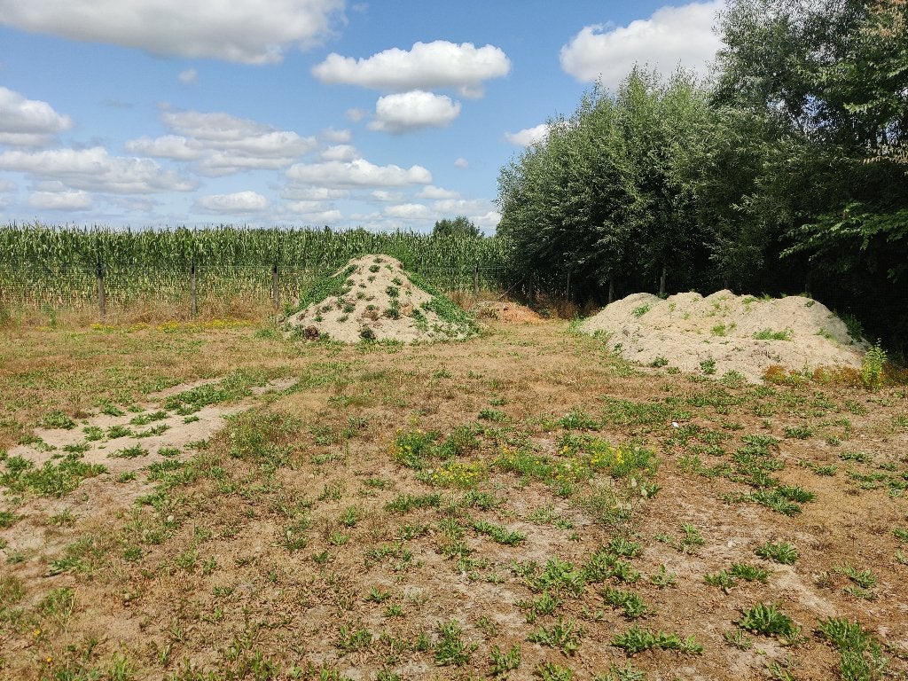 200 m³ pistezand met geotextielvezels – gratis voor ophoging, Tuin en Terras, Overige Tuin en Terras, Gebruikt, Ophalen of Verzenden