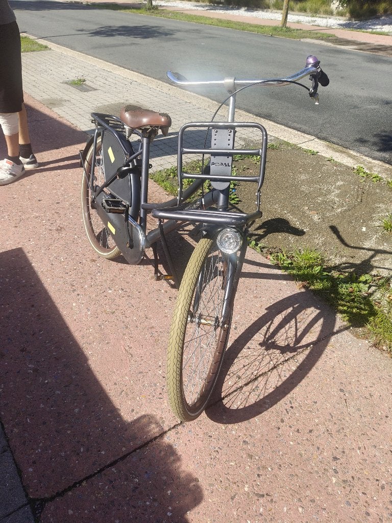 Popal fiets., Fietsen en Brommers, Ophalen, Terugtraprem, Gebruikt, Popal