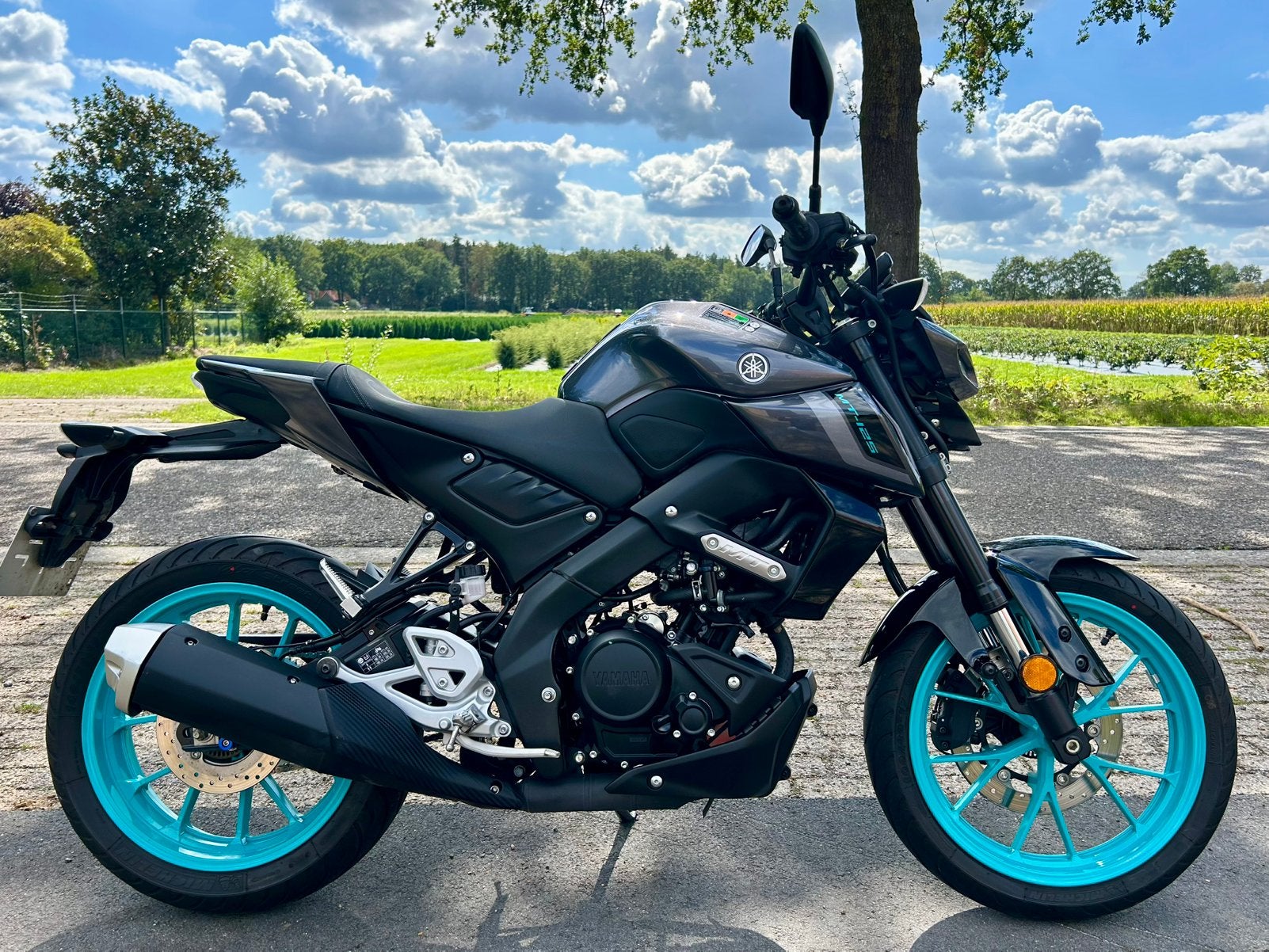 YAMAHA MT 125 ABS / NIEUWSTAAT / 2024 / ONDERHOUD✅, Occasion, Jusqu'à 11 kW, Permis Moto A1 minimum, ABS