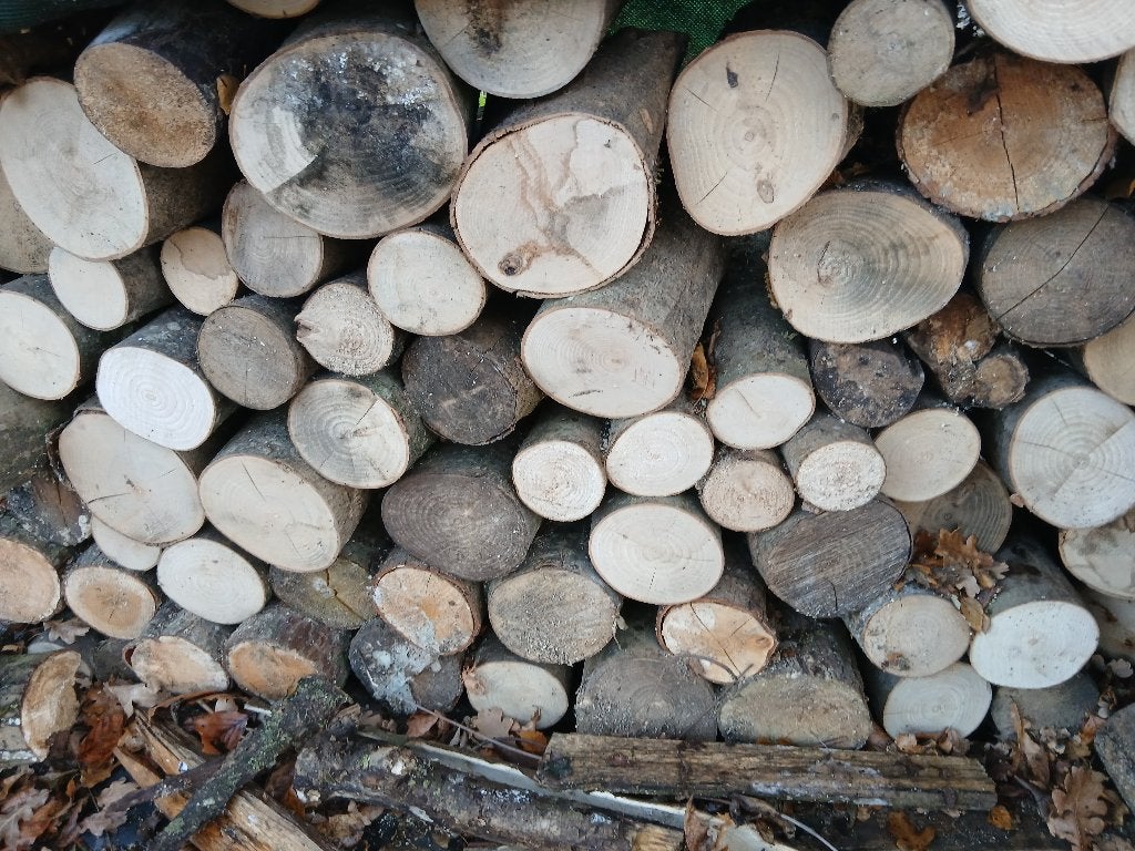 Bois de chauffage sec, 6 m³ ou plus, Enlèvement ou Envoi, Hêtre, Bûches