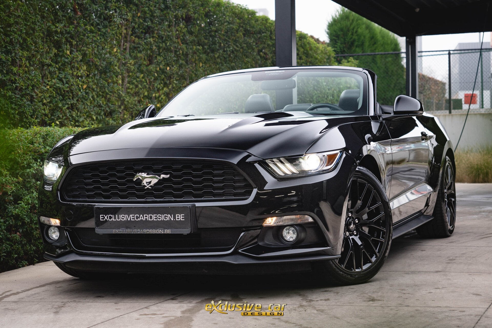 Ford Mustang Convertible 2.3i EcoBoost, Autos, Achat, Entreprise, Cabriolet, Noir