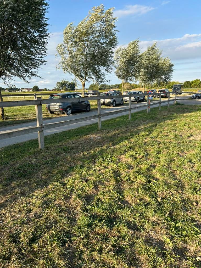 Weide | afsluiting | omheining | cambridge, Dieren en Toebehoren, Weidegang