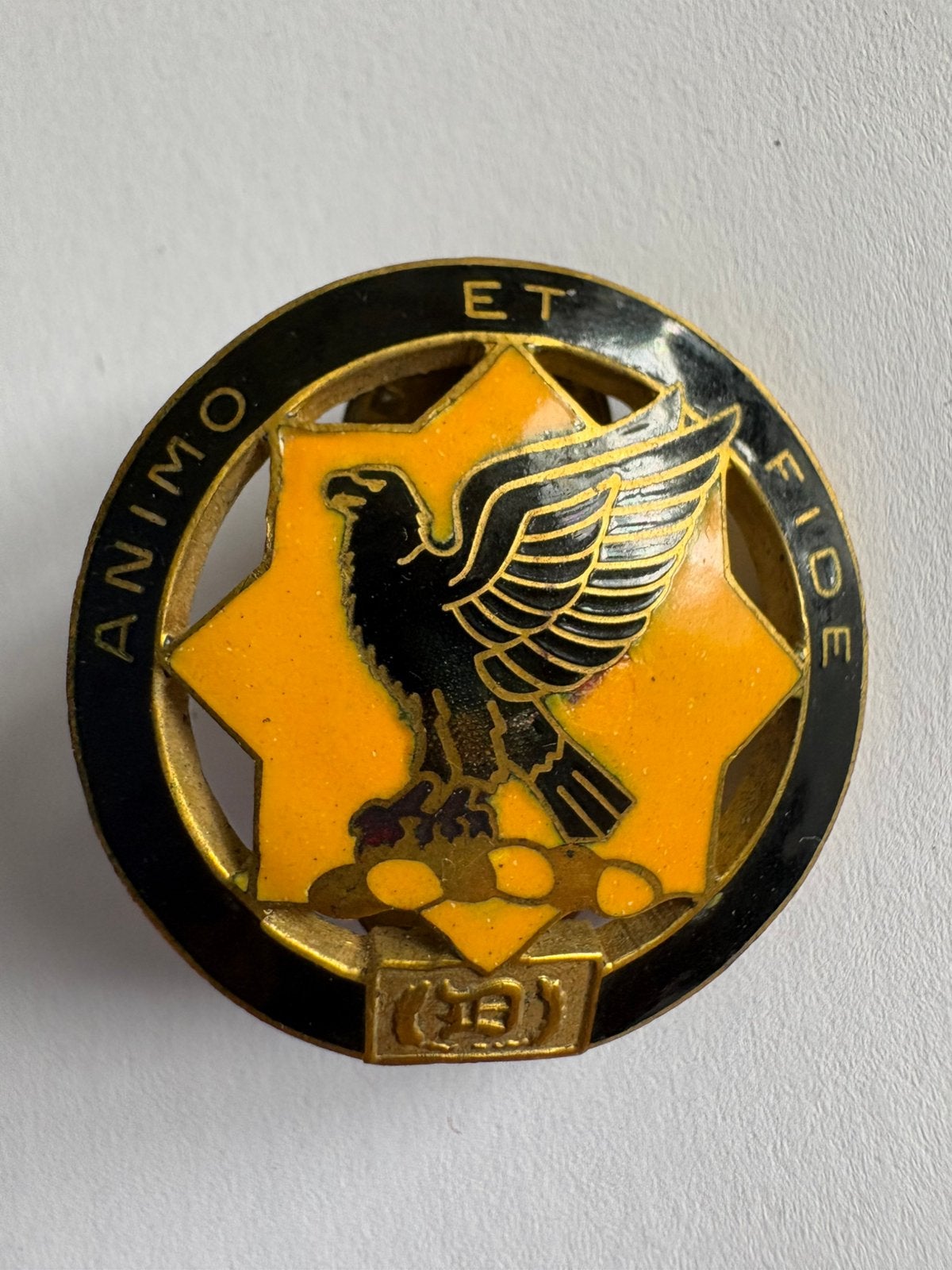 US Army 1st Cavalry Regiment Double Pin, Collections, Objets militaires | Général, Enlèvement ou Envoi