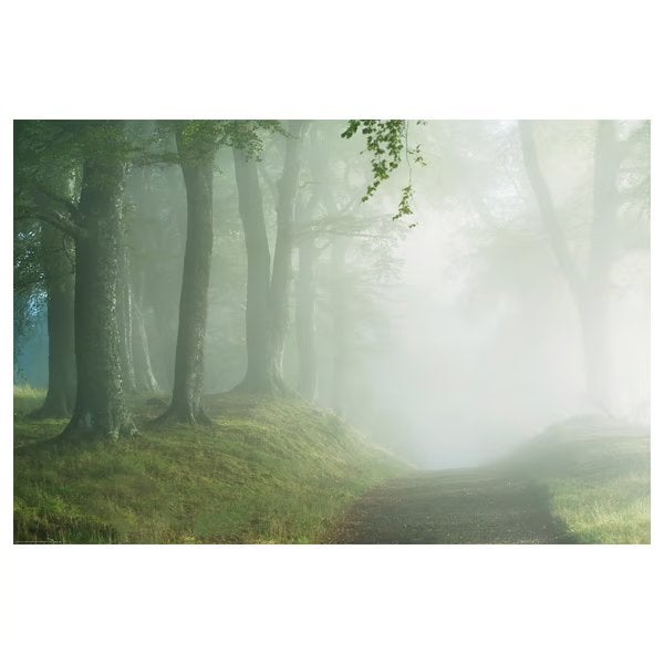 Muurposter 200x140, Livres, Enlèvement, Comme neuf