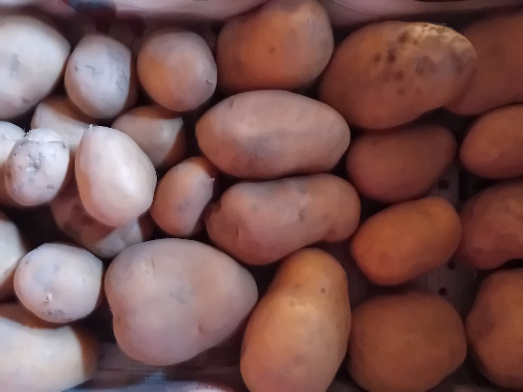 Bio aardappelen, Ophalen
