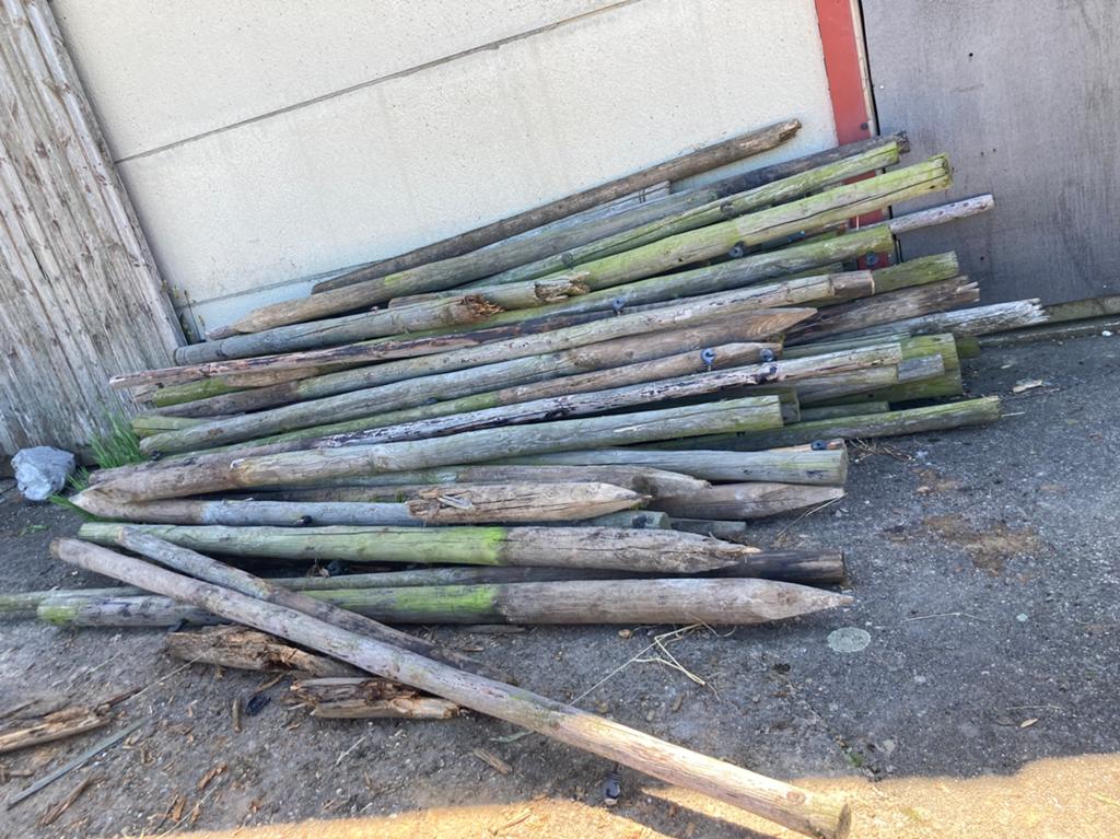 Palen, Ophalen, Gebruikt, 180 tot 250 cm, Palen