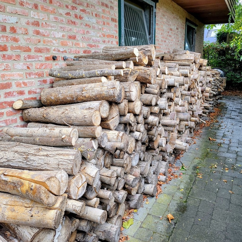 wilgenhout gedroogd, 3 à 6 m³, Enlèvement, Autres essences de bois, Troncs d'arbres
