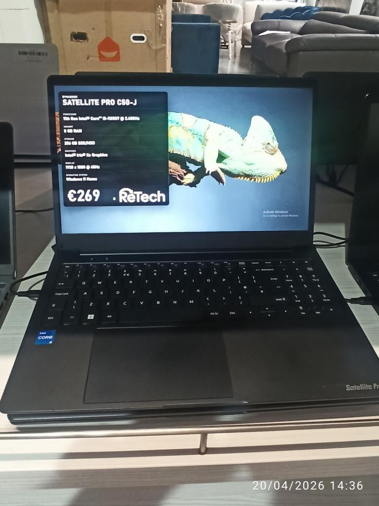 Professionele laptop Dynabook Satellite Pro C50-J, Computers en Software, Ophalen of Verzenden, SSD