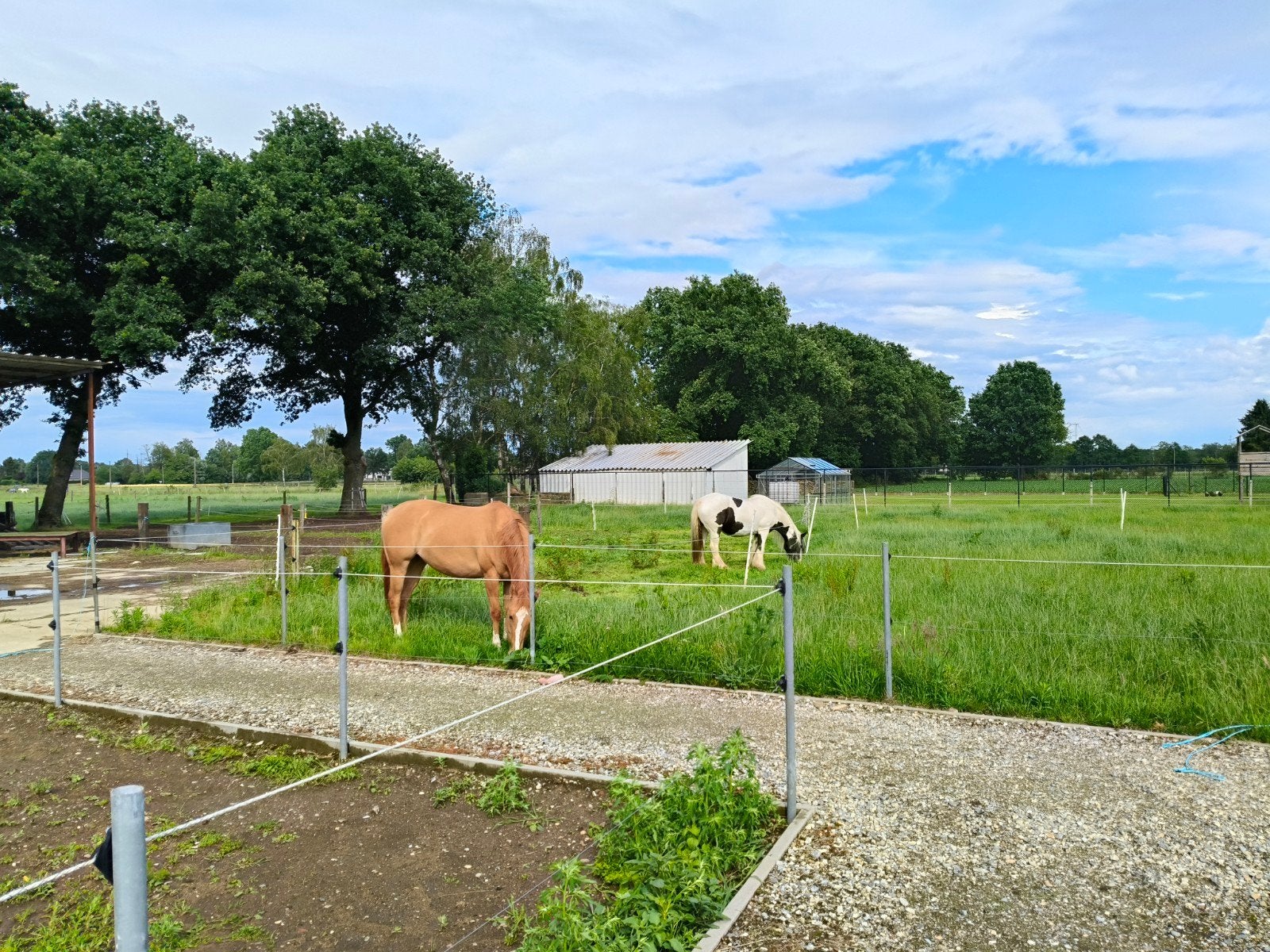 Pensionstalling, Stalling, 2 of 3 paarden of pony's