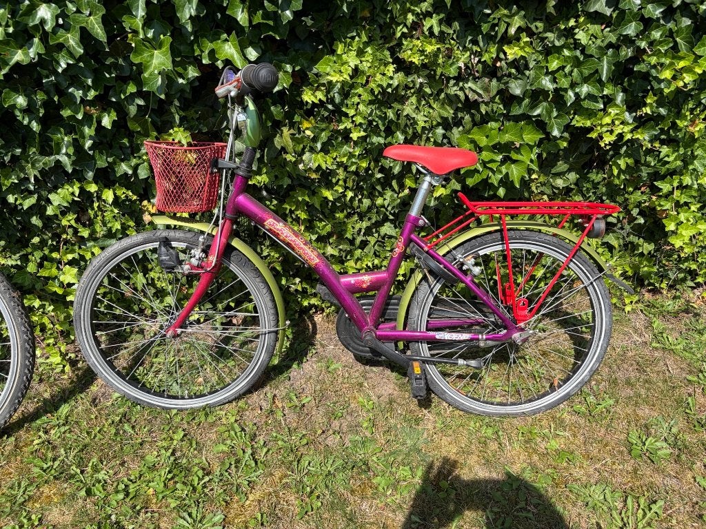 Kinderfiets, Fietsen en Brommers, Ophalen, Velgrem, Handrem, BATAVUS