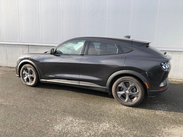 Ford Mustang Mach-E RWD (bj 2023, automaat), Auto's, Automaat, 269 pk, Gebruikt, Zwart