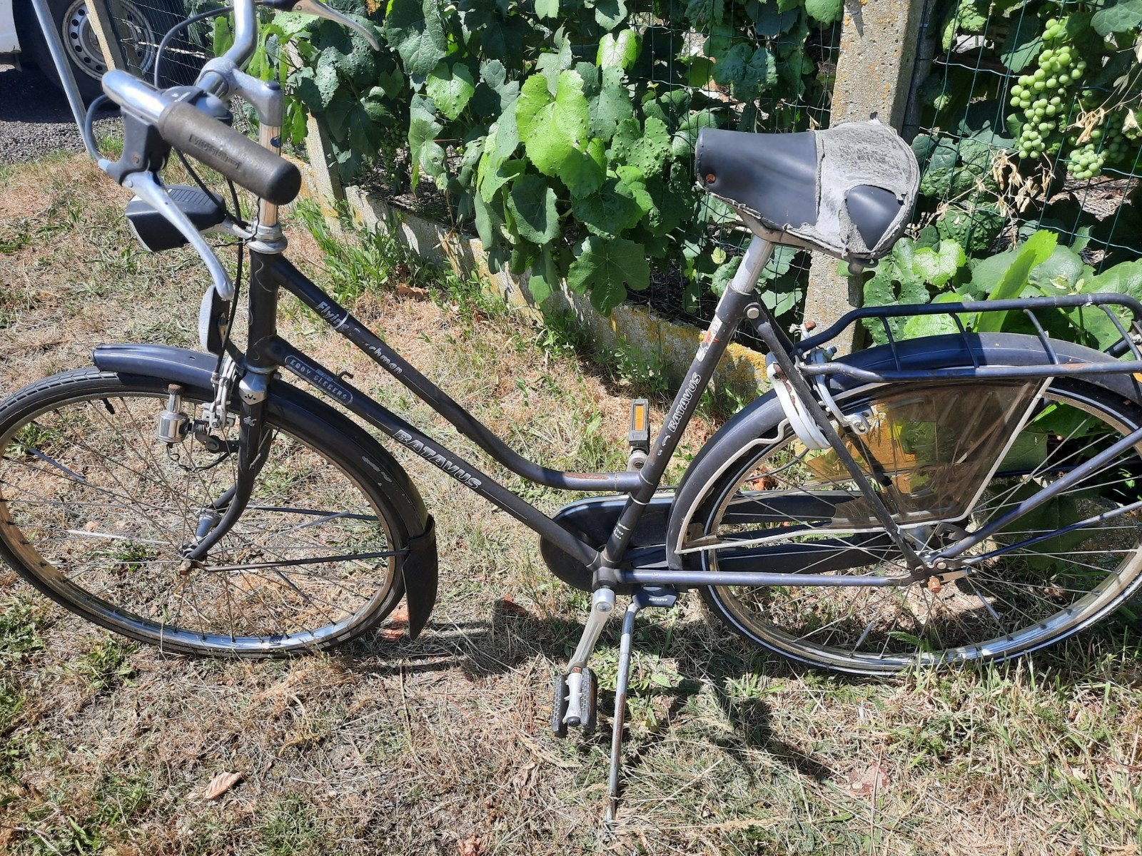 Batavus damesfiets, Enlèvement, Batavus