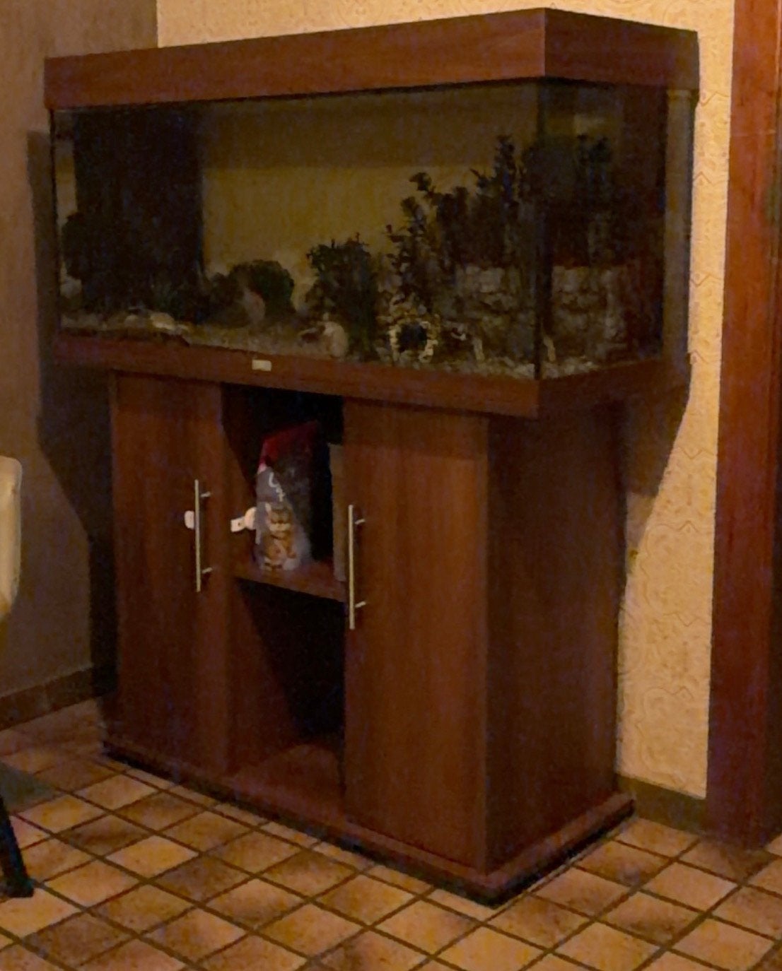 Aquarium juwel, Dieren en Toebehoren, Gebruikt, Aquariummeubel, Juwel, Ophalen