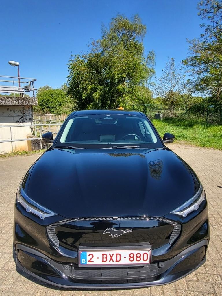 Ford Mustang Mach E, Auto's, Ford, Particulier, Mustang, Adaptive Cruise Control, Elektrisch, Euro 6, SUV of Terreinwagen, 5 deurs