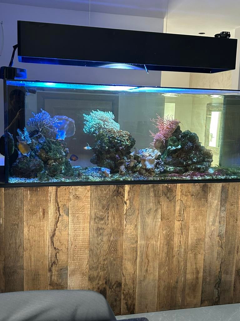 Aquarium marin Red sea, Enlèvement ou Envoi
