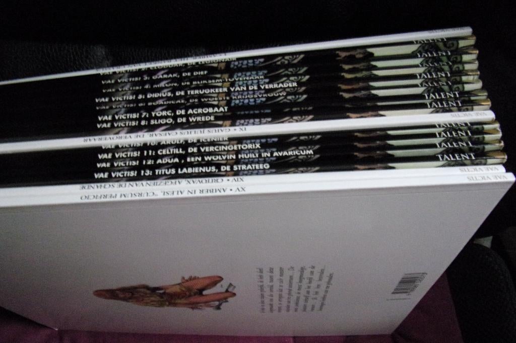 vae victis  : complete reeks  nr 1 tot en met 15 softcover, Boeken, Ophalen of Verzenden