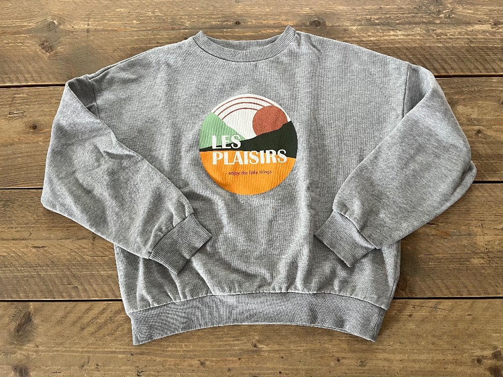 FISH & CHIPS (JBC) grijze trui maat 158, Kinderen en Baby's, Kinderkleding | Maat 158, Ophalen of Verzenden, JBC., Meisje, Trui of Vest