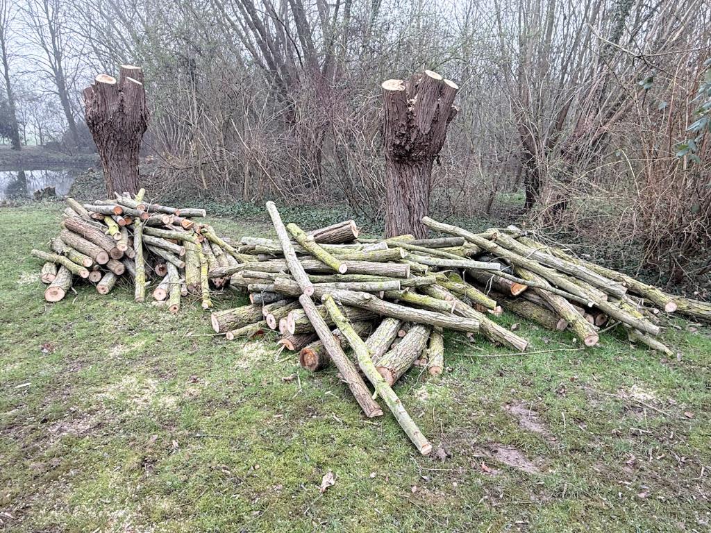 Brandhout, Tuin en Terras, Brandhout, 6 m³ of meer, Ophalen, Overige houtsoorten, Takken