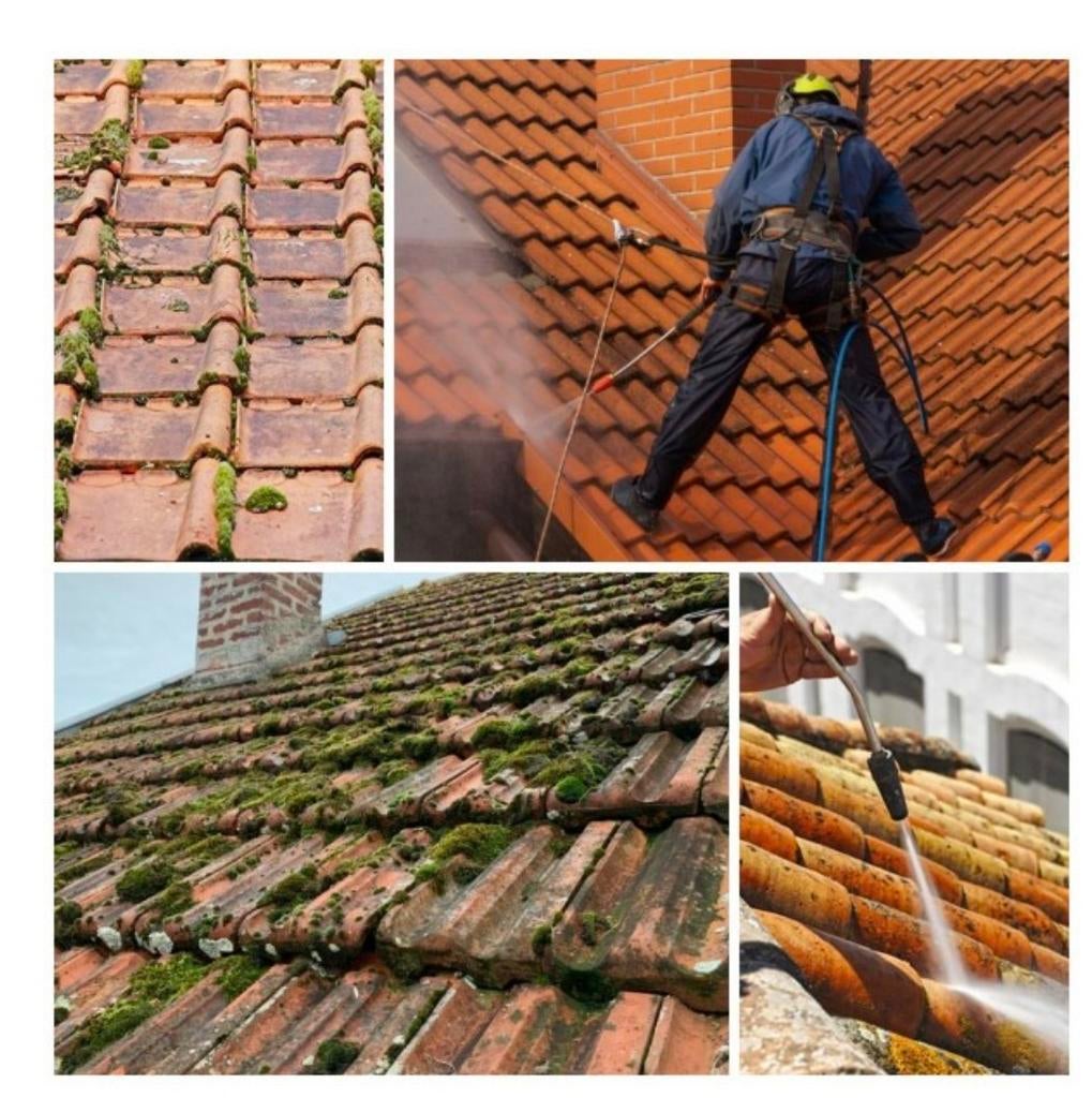 Dakreiniging, ontschuimen, tegels en leien, Ophalen of Verzenden, Dakpannen