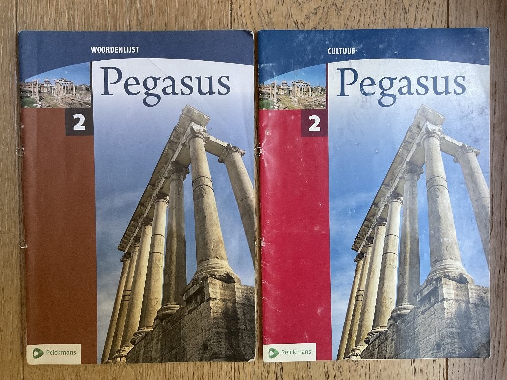 Pegasus 2 woordenlijst & cultuur, Boeken, Ophalen of Verzenden, Zo goed als nieuw