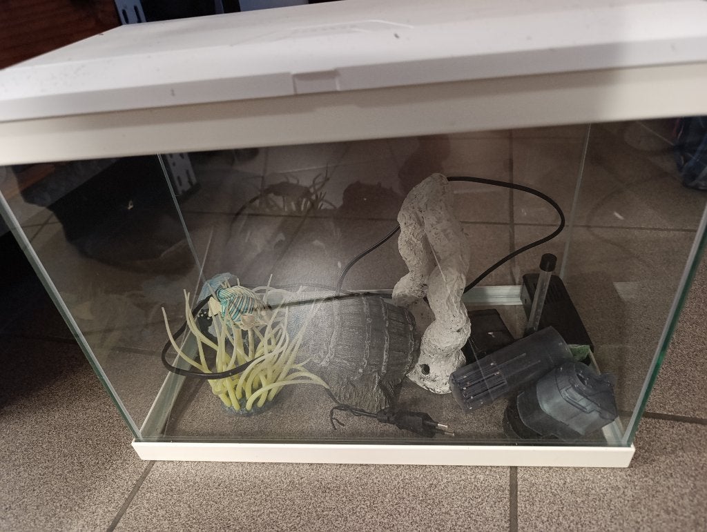 Aquarium L40 cm l20cm H32cm, Animaux & Accessoires, Enlèvement, Pompe, Utilisé, Aquarium vide