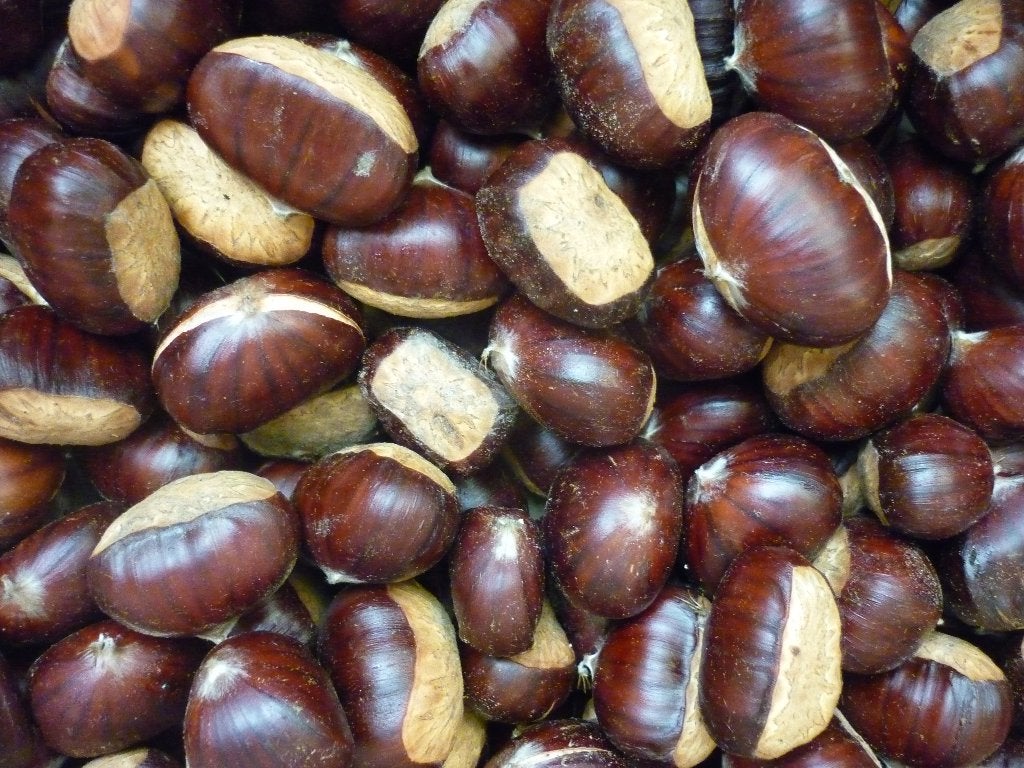 Tamme kastanjes, groot, 100% bio; 3 euro/kg, Ophalen of Verzenden