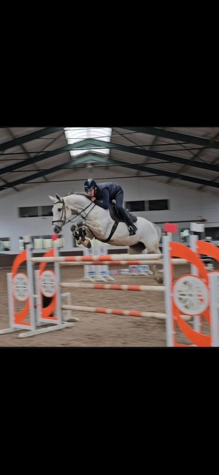 Paarden Zadelmak/dDoorrijden, Animaux & Accessoires, Chevaux, L