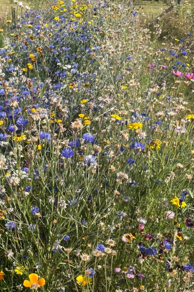 ., Tuin en Terras, Ophalen