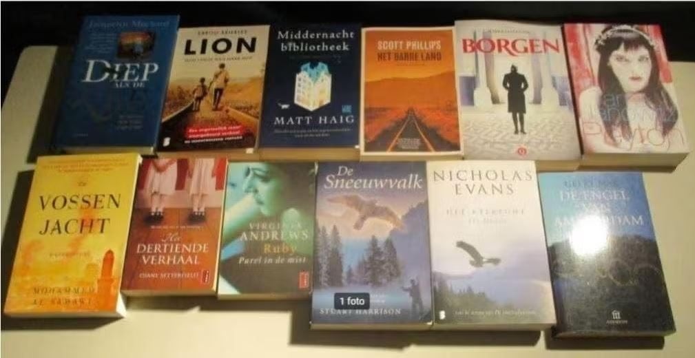12 Prima Nederlandstalige Romans, Boeken, Romans, Zo goed als nieuw, Ophalen of Verzenden