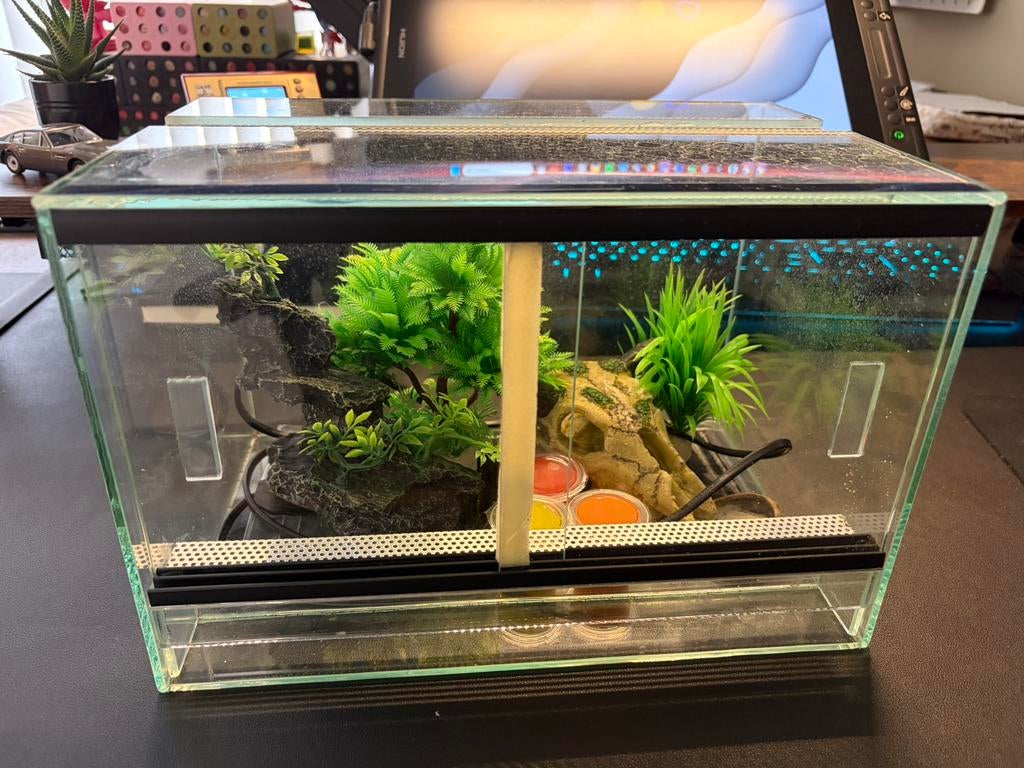 Klein Reptiel Terrarium + Starter Kit, Dieren en Toebehoren, Ophalen, Zo goed als nieuw