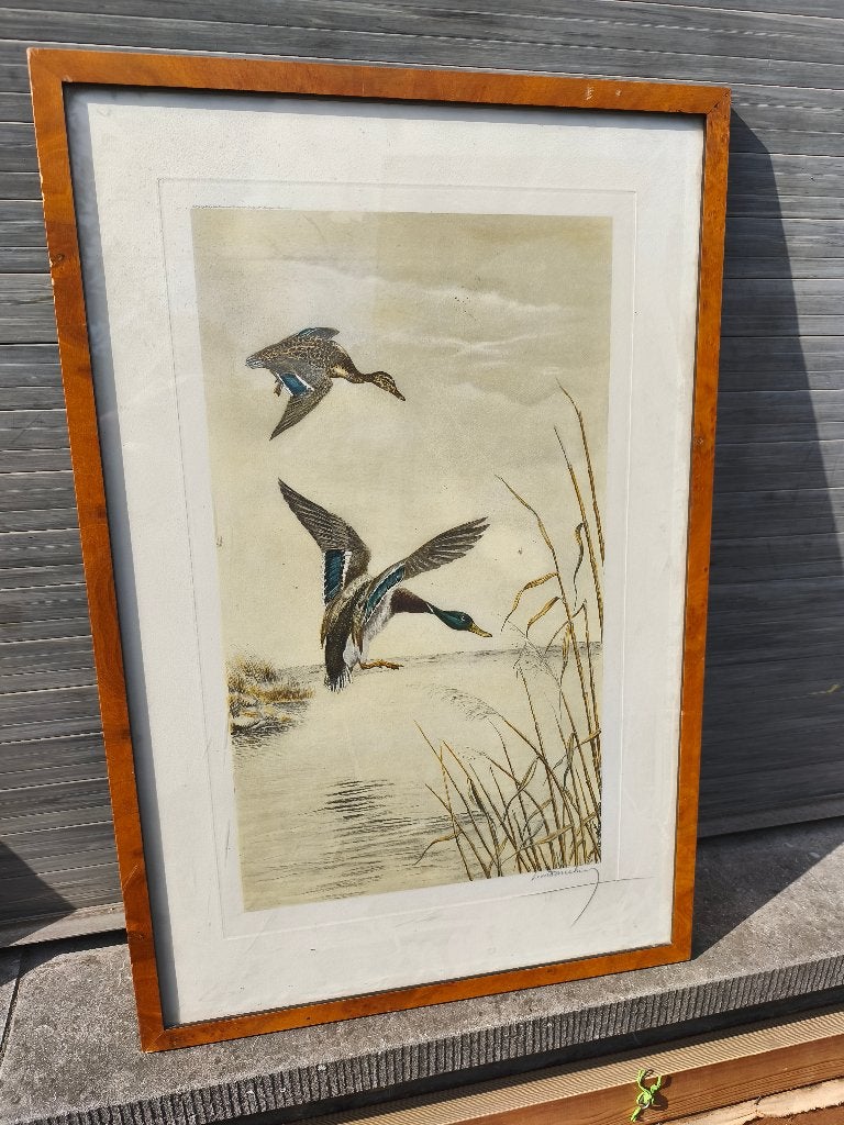 gravure signe leon danchin, Ophalen of Verzenden, Gravure