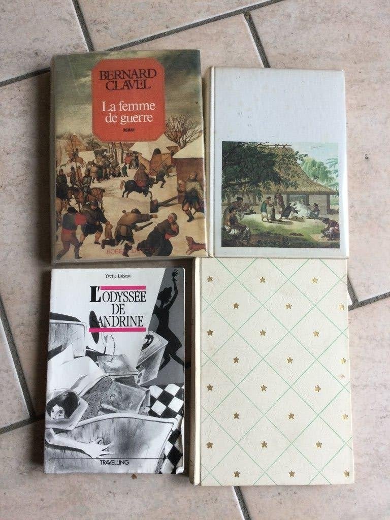 LOT DE LIVRES POUR ENFANTS,ADOLESCENTS,ADULTES, Enlèvement ou Envoi, MALOT/LOISEAU/CLAVEL..