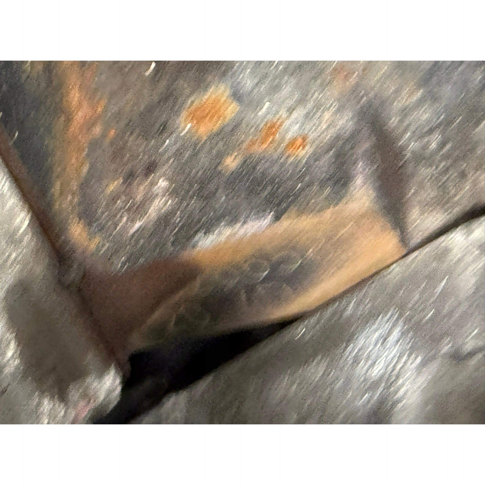 Moteur M47D20 Complet BMW X3, Envoi, Utilisé, Daihatsu