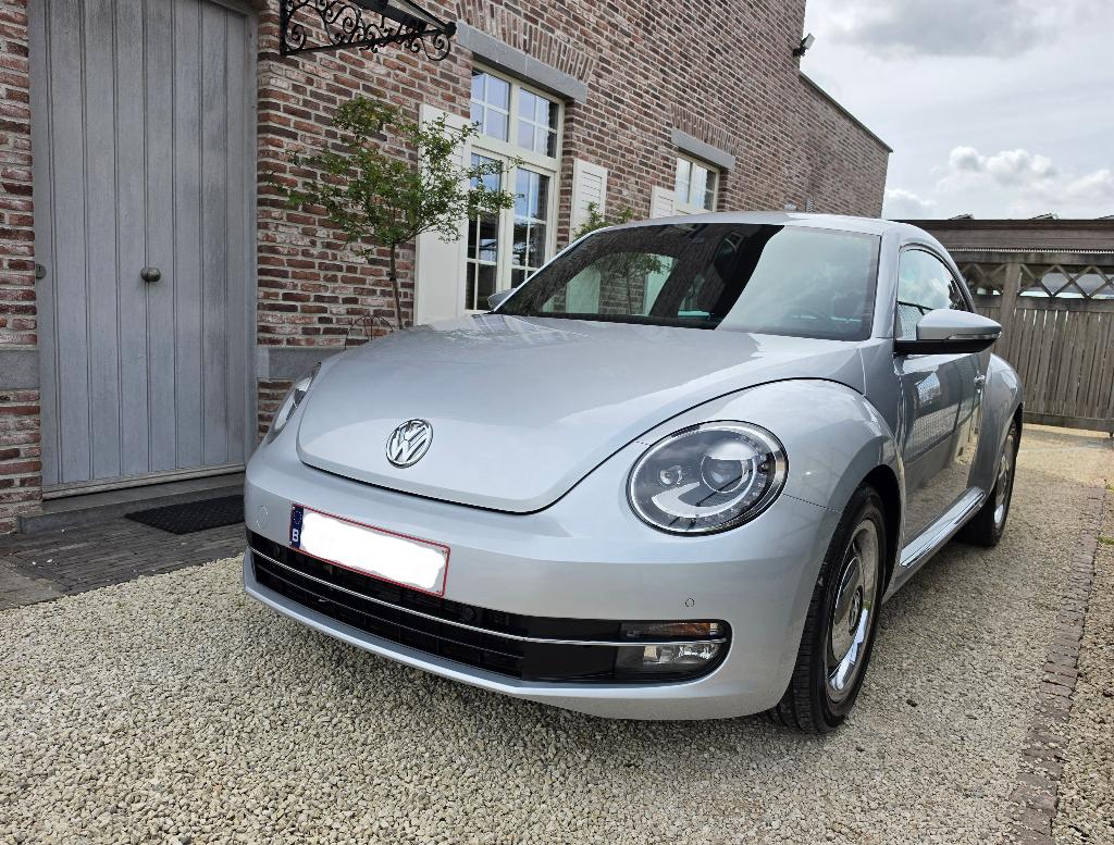 Vw Beetle, Argent ou Gris, Achat, Coccinelle, Noir