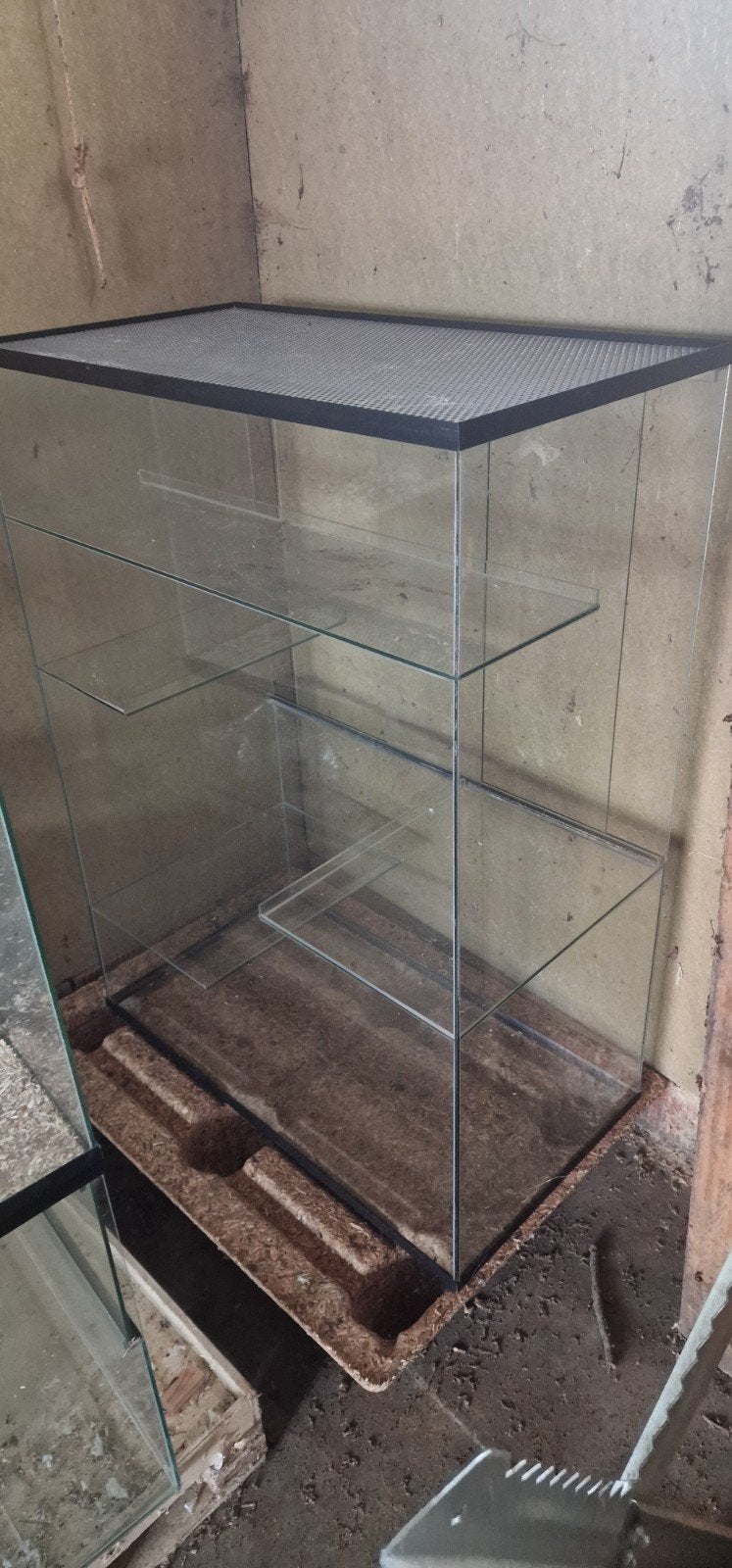 Ruim glazen gerbilarium uit één stuk, Enlèvement, Utilisé, Terrarium ou Paludarium