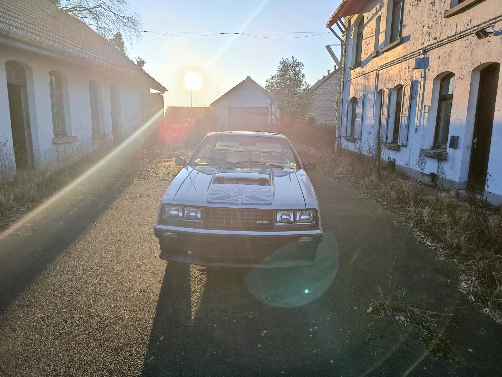 Mustang Cobra 2.3 turbo 1979, Autos, Particulier, Achat, Toit ouvrant