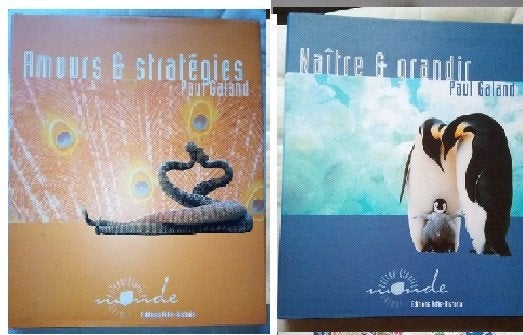 Amours... naître P Galand 2 livres     c neufs  Nature, Boeken, Natuur, Ophalen of Verzenden, Zo goed als nieuw, Overige onderwerpen