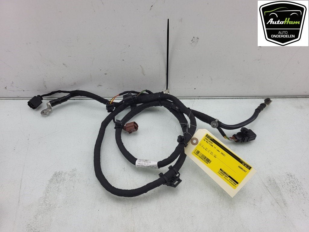 KABELBOOM Volkswagen Multivan T7 (|7T0971599F|), Gebruikt, Volkswagen